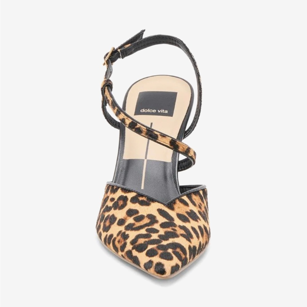 Dolce Vita Leopard-Print Pointed Slingbacks in Black & Brown - Picture 8 of 9